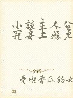 小说主人公叔他宠妻上瘾免费阅读