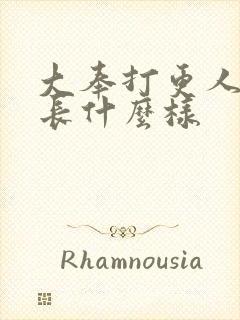 大奉打更人钟璃长什么样封面