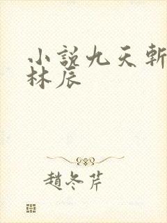 小说九天斩神诀林辰