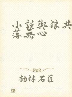 小说与狼共舞叶落无心封面