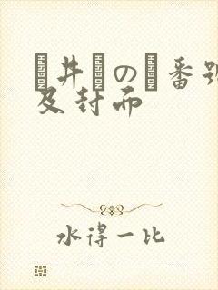 辻井ほのか番号及封面