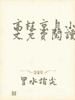 高枝京月小说全文免费阅读最新章节