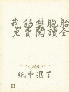 我的双胞胎老婆免费阅读全文封面