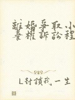 离婚争取小孩抚养权诉讼程序