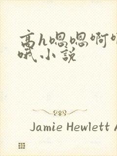 高h嗯嗯啊啊哦哦小说