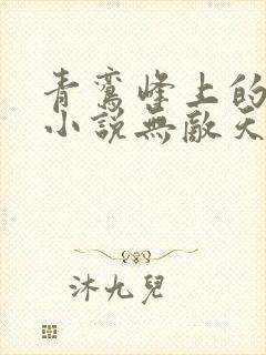 青鸾峰上的全部小说无敌天命