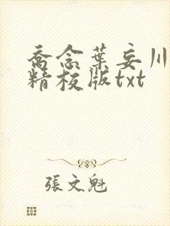 乔念叶妄川完整精校版txt