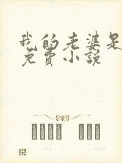 我的老婆是总裁免费小说