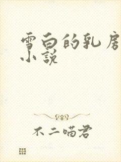 雪白的乳房乡村小说