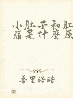 小肚子和肛门疼痛是什么原因引起的封面