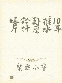 哑铃卧推10公斤什么水平