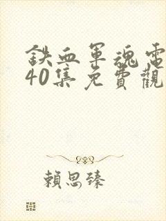 铁血军魂电视剧40集免费观看