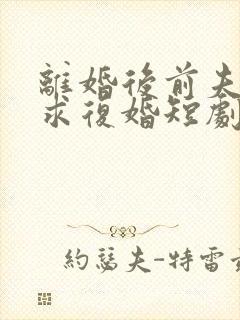 离婚后前夫哭着求复婚短剧