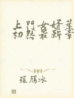 上门女婿叶辰萧初然最新章节