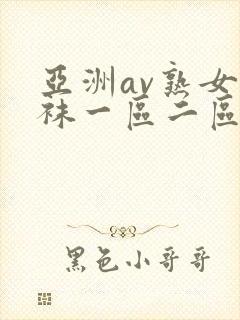 亚洲av熟女丝袜一区二区久久封面