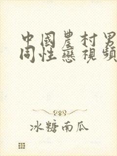 中国农村男帅哥同性恋视频