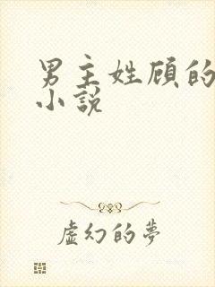 男主姓顾的军婚小说