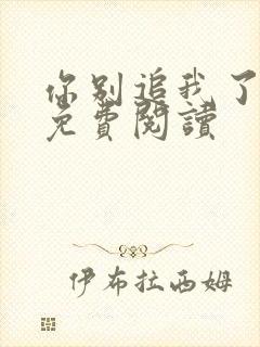 你别追我了小说免费阅读