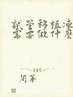 试管移植冻胚前需要做什么检查