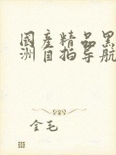 国产精品黑丝亚洲自拍导航