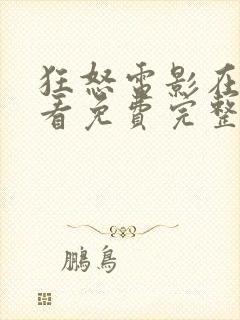 狂怒电影在线观看免费完整版