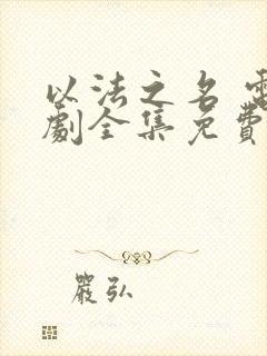 以法之名 电视剧全集免费观看