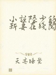 小说陆少的暖婚新妻在线阅读