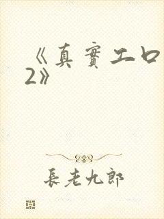 《真实工口游戏2》封面