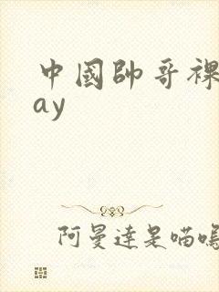 中国帅哥裸体gay