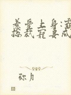 惹爱上身:霸道总裁宠妻成瘾封面