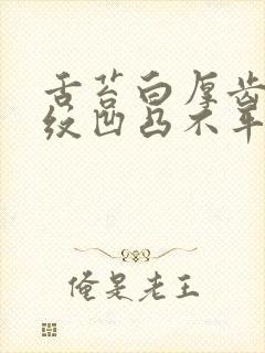 舌苔白厚齿痕裂纹凹凸不平