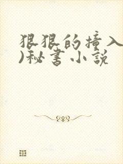 狠狠的撞入(h)秘书小说