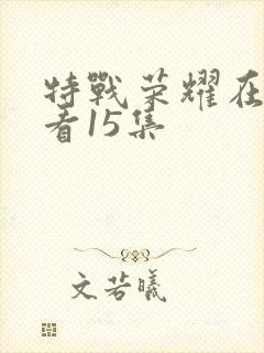 特战荣耀在线观看15集封面