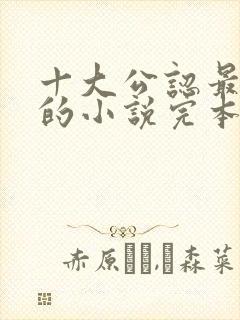 十大公认最好看的小说完本封面