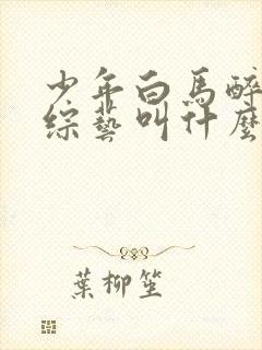 少年白马醉春风综艺叫什么