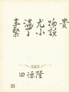 丰满尤物贵妇太紧了小说