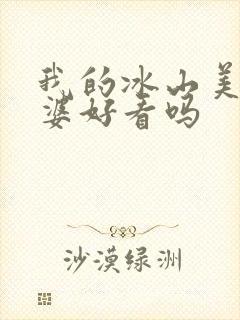 我的冰山美女老婆好看吗