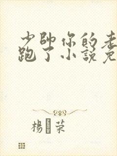 少帅你的老婆又跑了小说免费阅读