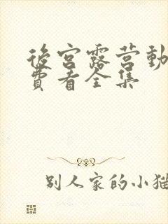 后宫露营动漫免费看全集