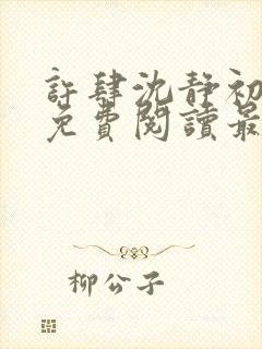 许肆沈静初全文免费阅读最新章节