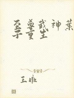 至尊武神叶风太子重生