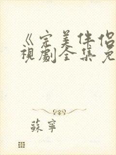 《完美伴侣》电视剧全集免费观看