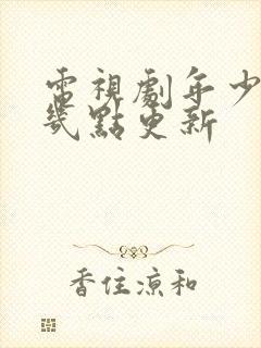 电视剧年少有为几点更新