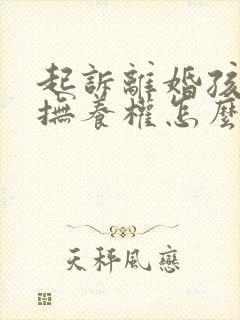 起诉离婚孩子的抚养权怎么判定