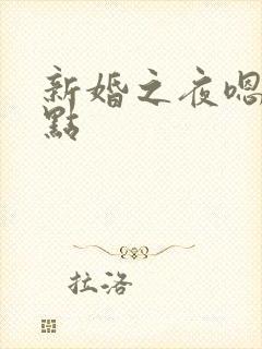 新婚之夜嗯～轻点