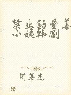 禁止的爱善良的小姨韩剧