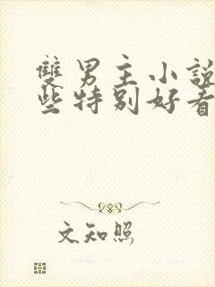 双男主小说有哪些特别好看的甜文