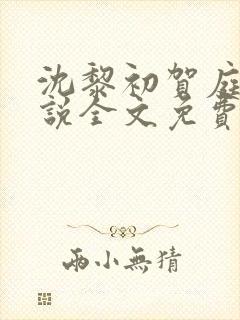 沈黎初贺庭安小说全文免费阅读