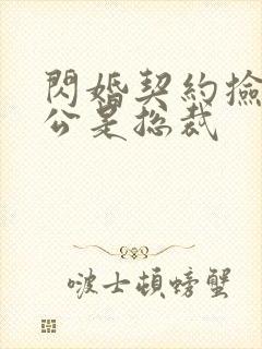 闪婚契约捡个老公是总裁