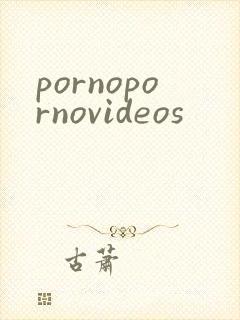 pornopornovideos封面